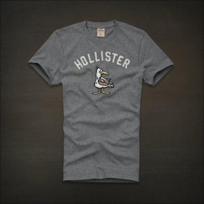 Hollister Men Shirts-318